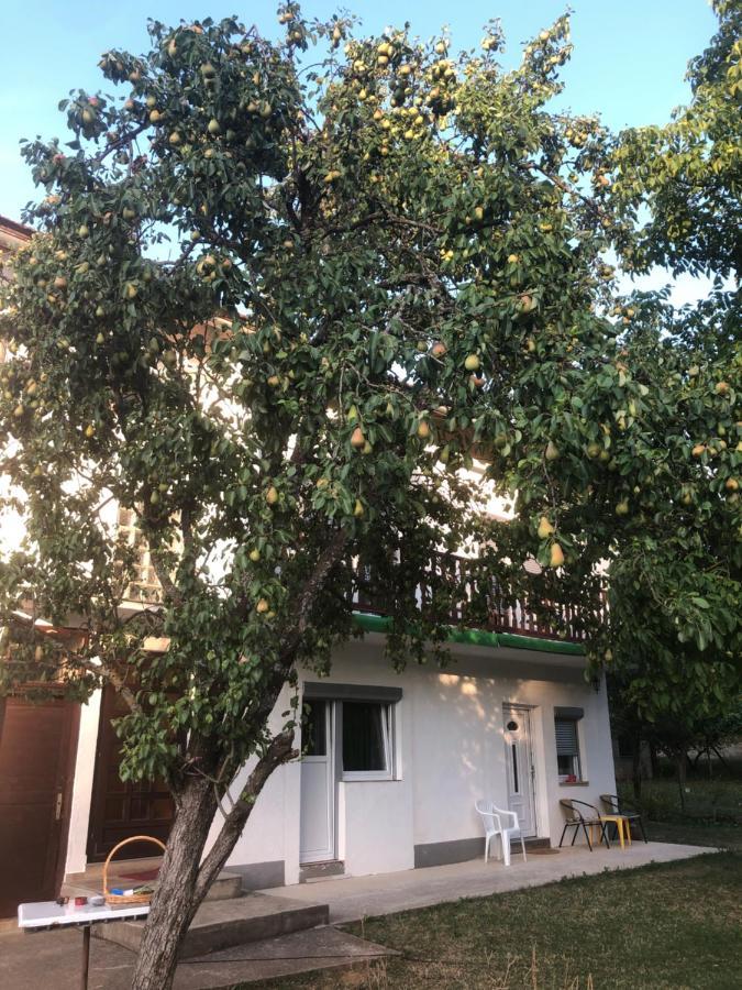Guesthouse D&D Licko Petrovo Selo Exterior photo